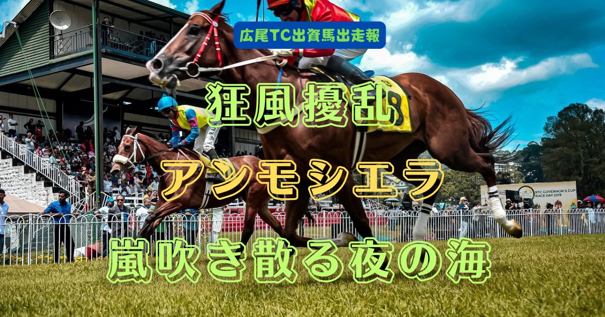 狂風擾乱　アンモシエラ　嵐吹き散る夜の海